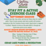 Stay Fit & Active Exercise Class